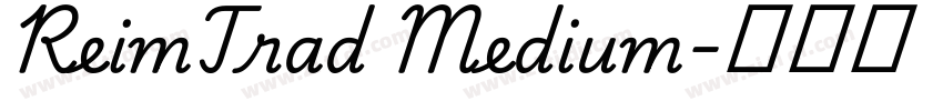 ReimTrad Medium字体转换
